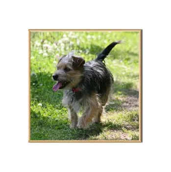 Rám na obraz Čtvercový fotoobraz v luxusním rámu (60x60)