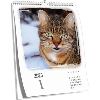 Fotokalendář Nástěnný fotokalendář NKN-102 (A4)