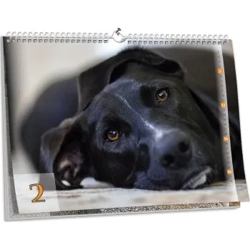 Fotokalendář Nástěnný fotokalendář NKN-76 (A3)