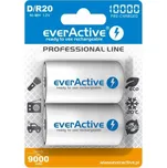 Akumulatorki everActive R20/D Ni-MH 10000 mAh připraven k použití