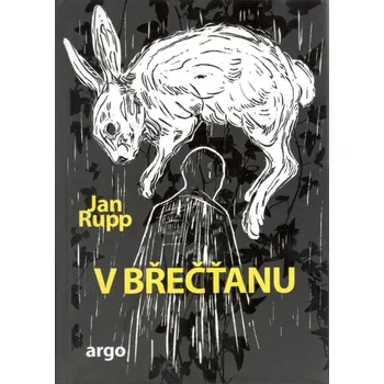 V břečťanu - Jan Rupp (2022, pevná)