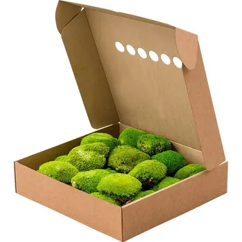 Rám na obraz Stabilizovaný mech Ball Moss Light Green Box 40x40 cm - Do interiéru