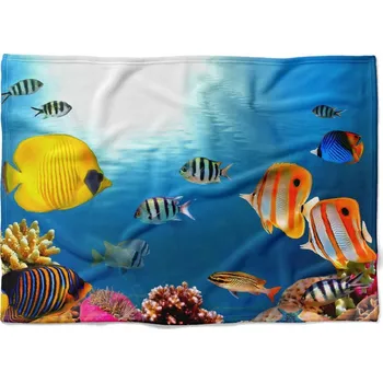 Dětská deka Deka Mořské dno 2 (Rozměr : 200 x 140 cm, Podšití beránkem: NE)