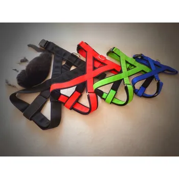 Postroj pro psa Postroj Tour pro malé psy celonastavitelný