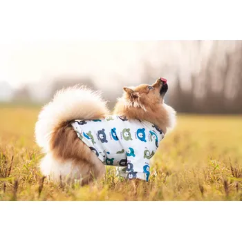 Obleček pro psa Vsepropejska Trux mikina pro psa Barva: Modrá, Délka zad (cm): 32, Obvod hrudníku: 44 - 52 cm