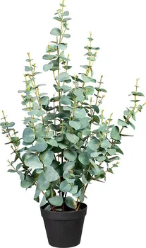 Umělá květina Silverdollar eukalyptus v plastovém květináči 80 cm šedý/zelený