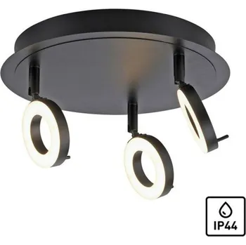 PAUL NEUHAUS LED stropní bodové svítidlo antracit, kruhové, 3 ramenné, otočné, ochrana proti vodě 3000K