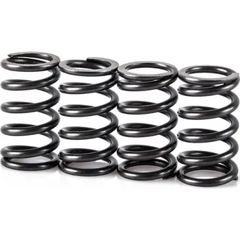 Spojková sada Pružiny spojky sada MOTION STUFF STF-501-5002