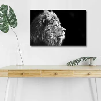 Obraz Obraz s LED osvětlením ČERNOBÍLÝ LEV 58 45 x 70 cm