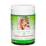 TCM Herbs Utišení větrné bouře, 100 tbl SHU GAN WAN