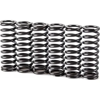 Spojková sada Pružiny spojky sada MOTION STUFF STF-501-5013