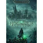 Hogwarts Legacy (Deluxe Edition) PC