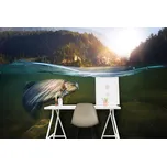 Malvis Tapeta Ryba pod vodou Vel. (šířka x výška): 432 x 290 cm