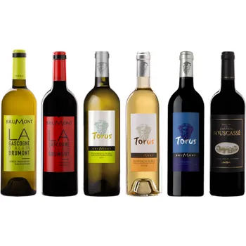 Víno Degustační balíček vín Alain Brumont 6x 0,75l