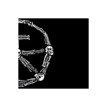 Zahraniční hudba Kaikki Kaikkia Vastaan / Coloured / Vinyl - Terveet Kadet [LP]