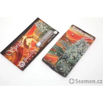 Pěstitelství Syrup Auto fem. (balení 50)