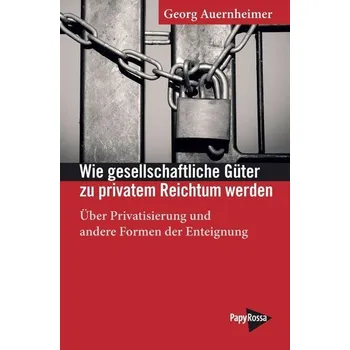 Wie gesellschaftliche Güter zu privatem Reichtum werden - Auernheimer, Georg