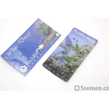 Semeno White Dwarf Auto fem. (balení 10)