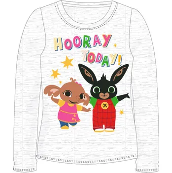 Dívčí tričko Dětské tričko dlouhý rukáv šedé Bing 110