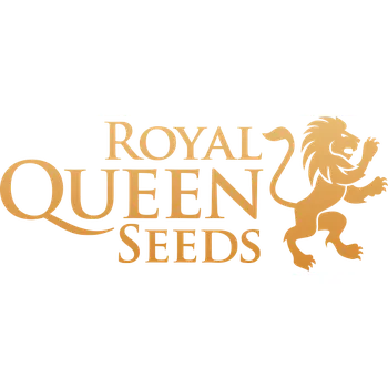 Semeno Royal Queen Seeds Special Kush 1 Počet ks Feminizované: 1