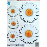 Avisa Samolepící dekorace kopretiny