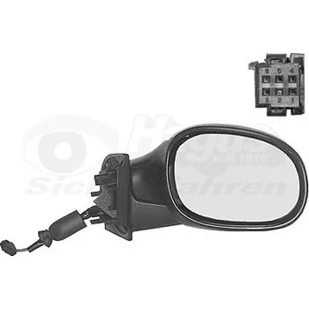 Auto zrcátko Vnější zpětné zrcátko VAN WEZEL 0925808