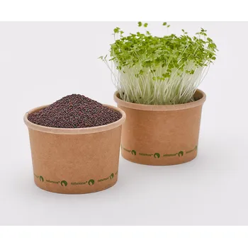 Fóliovník Tiny Greens Brokolice Verde - BIO semínka na klíčení a microgreens Množství: 100g