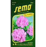 SEMO Muškát páskatý růžový 0,05 g
