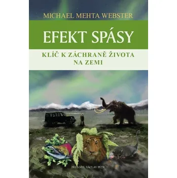Kniha Efekt spásy - Michael Mehta Webster (E-Kniha)
