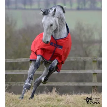 Jezdectví Deka výběhová Bucas -FREEDOM TURNOUT PONY 150G- - Crimson red - 120cm