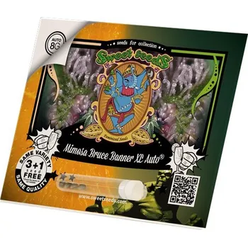 Semeno Sweet Seeds Mimosa Bruce Banner XL AUTO Počet ks Feminizované: 3+1