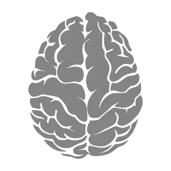 Samolepící dekorace SAMOLEPKA Mozek 001 levá (17 - šedá) NA AUTO, NÁLEPKA, FÓLIE, POLEP, TUNING, VLASTNÍ TEXT, TISK, AUTOSAMOLEPKY.cz, POLEPY, OBRÁZEK, LOGO, SAMOLEPKY