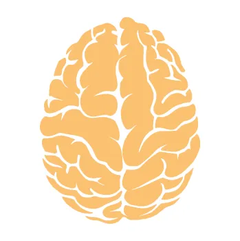 Samolepící dekorace Mozek 001 levá (08 - béžová) SAMOLEPKA NA AUTO, NÁLEPKA, FÓLIE, POLEP, TUNING, VLASTNÍ TEXT, TISK, AUTOSAMOLEPKY.cz, POLEPY, OBRÁZEK, LOGO, 3D STICKERS