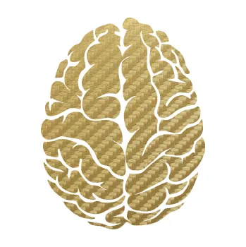 Samolepící dekorace SAMOLEPKA Mozek 001 levá (59 - 3D karbon zlatý) NA AUTO, NÁLEPKA, FÓLIE, POLEP, TUNING, VLASTNÍ TEXT, TISK, AUTOSAMOLEPKY.cz, POLEPY, OBRÁZEK, LOGO, SAMOLEPKY