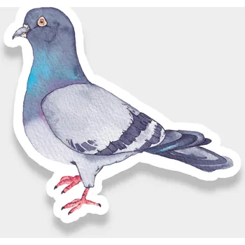 Samolepící dekorace ePiPí Samolepka - Holub
