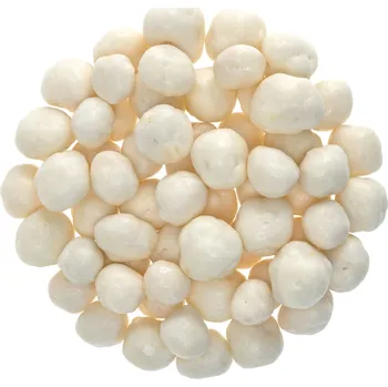 Sušená potravina NUTSMAN Meruňky kostky v jogurtové polevě Množství: 125 g