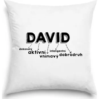 Polštář Polštář David 40 x 40 cm