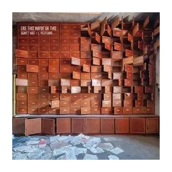 Zahraniční hudba LP Laurent Petitgand: Like This Maybe Or This 2021