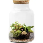 Gardners Skleněná dóza Helenium s korkovým špuntem, 17x27 cm - osázené vlhkomilně