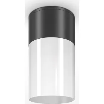 MAYTONI Stropní svítidlo Willis O418CL-01B