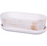 Nohel Garden Truhlík KAKTUS O WHITE + podmiska keramický matný 34cm