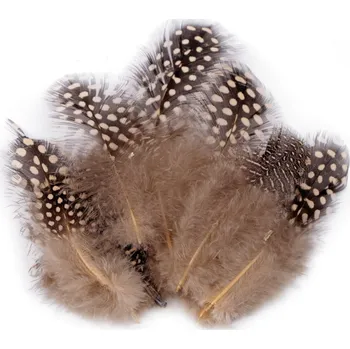 Slepičí peří délka 5-13 cm - béžová