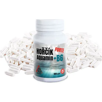 Horčík Aquamin + B6 FORTE VALKNUT 120 kapslí