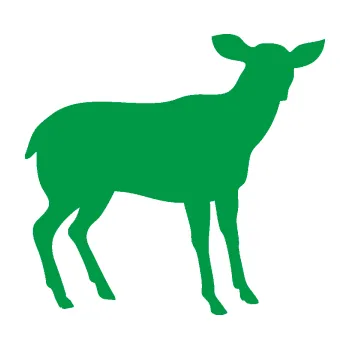 Samolepící dekorace Srna 001 pravá (12 - zelená) SAMOLEPKA NA AUTO, NÁLEPKA, FÓLIE, POLEP, TUNING, VLASTNÍ TEXT, TISK, AUTOSAMOLEPKY.cz, POLEPY, OBRÁZEK, LOGO, 3D STICKERS