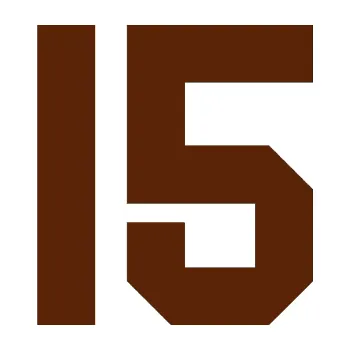 Polep vozidla Startovní číslo 15 (15 - hnědá) SAMOLEPKA NA AUTO, NÁLEPKA, FÓLIE, POLEP, TUNING, VLASTNÍ TEXT, TISK, AUTOSAMOLEPKY.cz, POLEPY, OBRÁZEK, LOGO, 3D STICKERS