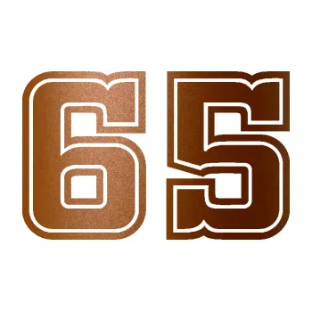 Polep vozidla Startovní číslo 65 typ 5 (44 - měděná metalíza) SAMOLEPKA NA AUTO, NÁLEPKA, FÓLIE, POLEP, TUNING, VLASTNÍ TEXT, TISK, AUTOSAMOLEPKY.cz, POLEPY, OBRÁZEK, LOGO, 3D STICKERS