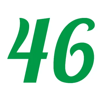 Polep vozidla Startovní číslo 46 typ 3 (12 - zelená) SAMOLEPKA NA AUTO, NÁLEPKA, FÓLIE, POLEP, TUNING, VLASTNÍ TEXT, TISK, AUTOSAMOLEPKY.cz, POLEPY, OBRÁZEK, LOGO, 3D STICKERS