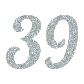 Polep vozidla Startovní číslo 39 typ 3 (91 - Ultra Metalic stříbrná metalíza) SAMOLEPKA NA AUTO, NÁLEPKA, FÓLIE, POLEP, TUNING, VLASTNÍ TEXT, TISK, AUTOSAMOLEPKY.cz, POLEPY, OBRÁZEK, LOGO, 3D STICKERS