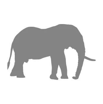 Samolepící dekorace SAMOLEPKA Slon 001 pravá (17 - šedá) NA AUTO, NÁLEPKA, FÓLIE, POLEP, TUNING, VLASTNÍ TEXT, TISK, AUTOSAMOLEPKY.cz, POLEPY, OBRÁZEK, LOGO, SAMOLEPKY