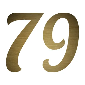 Polep vozidla Startovní číslo 79 typ 3 (64 - škrábaný kov zlatý) SAMOLEPKA NA AUTO, NÁLEPKA, FÓLIE, POLEP, TUNING, VLASTNÍ TEXT, TISK, AUTOSAMOLEPKY.cz, POLEPY, OBRÁZEK, LOGO, 3D STICKERS